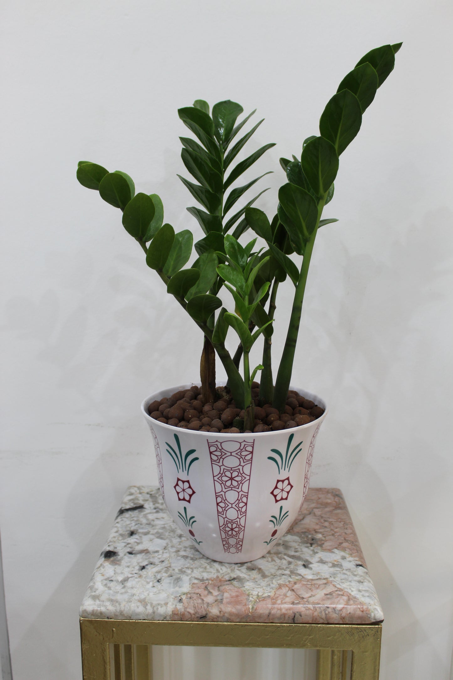 Arabic deco pot 20cm with Zamiaculcas 40cm