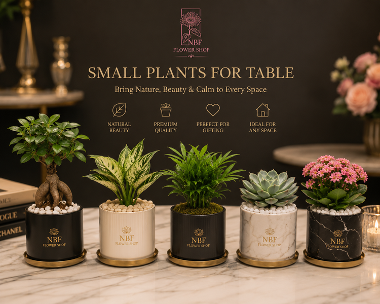PLANTS