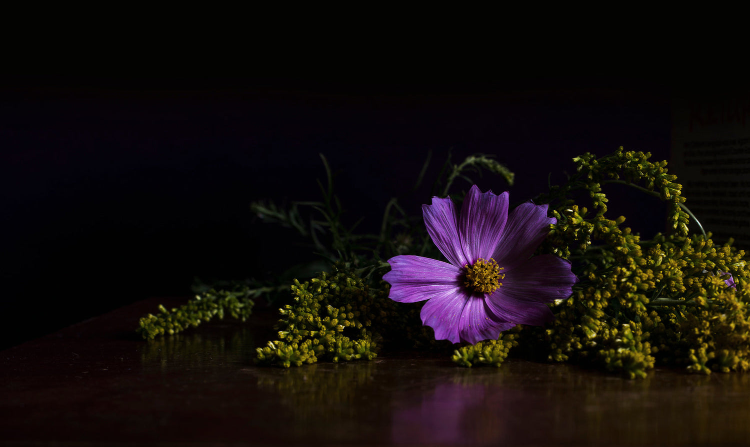 New Baraka Flower Shop